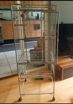 Papegaai kooi, Dieren en Toebehoren, Ophalen of Verzenden, Zo goed als nieuw, Metaal, Vogelkooi