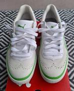 Nieuw! Puma golfschoenen golf schoenen 42, Ophalen of Verzenden, Nieuw, Schoenen, Overige merken