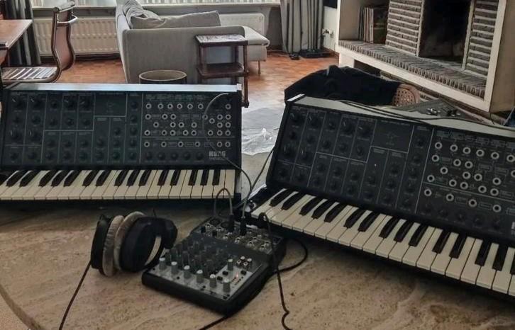 Korg ms-20 versie 1 en 2, Muziek en Instrumenten, Keyboards, Overige aantallen, Korg, Ophalen of Verzenden