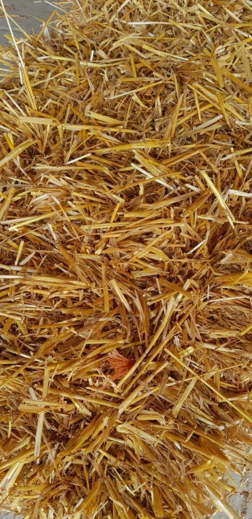 Stro kleine- en grote balen (Per direct beschikbaar!!!), Dieren en Toebehoren, Dierenvoeding, Vee, Ophalen