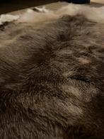 Echt rendieren bont kleed uit Lapland - 55x33,5 cm, Minder dan 50 cm, 50 tot 100 cm, Wit, Ophalen of Verzenden