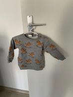 Truitje, Kinderen en Baby's, Babykleding | Maat 74, Truitje of Vestje, Ophalen of Verzenden, Zo goed als nieuw, Hema