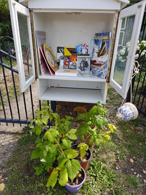 Weggeefkast spulletjes oa ansichtskaarten / Frambozenplanten, Tuin en Terras, Planten | Tuinplanten, Overige soorten, Halfschaduw