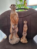 2 super leuke stokstaartjes, Ophalen of Verzenden, Zo goed als nieuw, Dier