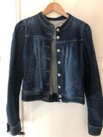 spijkerjas WE Blue River mao kraag maat M, Maat 38/40 (M), Blauw, WE, Ophalen of Verzenden