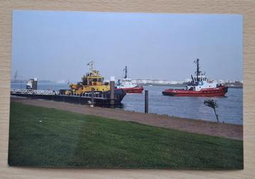 Foto sleepboten en havendienst Rotterdam 2008 beschikbaar voor biedingen