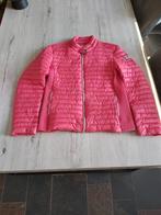 Dames gewatteerd dons jasje, Ophalen of Verzenden, Zo goed als nieuw, Maat 42/44 (L), Roze