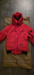 Canada Goose Chillwack Bomber, moncler, parajumpers, north, Canada Goose, Ophalen of Verzenden, Gedragen, Rood