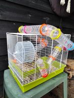 Hamsterkooi en accessoires, Dieren en Toebehoren, Kooi, Minder dan 75 cm, Zo goed als nieuw, Hamster