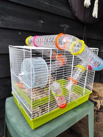 Hamsterkooi en accessoires   beschikbaar voor biedingen