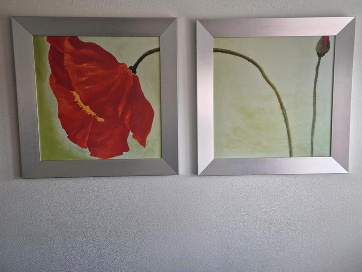 Klaproos Schilderijen Set - 80x80cm, Antiek en Kunst, Kunst | Schilderijen | Klassiek, Ophalen
