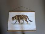 Panter poster xenos, Ophalen, Zo goed als nieuw