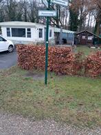 Te huur  chalet op camping roland  afferden [L], Zwembad