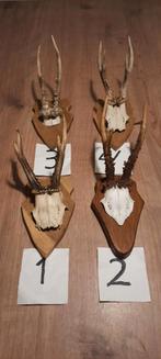 Te koop mooie grote reegeweien bellen, Huis en Inrichting, Woonaccessoires | Overige, Ophalen, Zo goed als nieuw