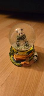 Panda Sneeuwbol - Uniek verzamelobject! (Pandasia), Ophalen of Verzenden