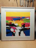 Frank Lejeune kleuren zeefdruk 70/150, Ophalen of Verzenden