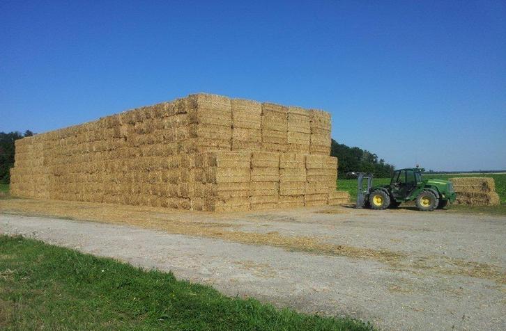 Gesneden stro, gehakseld stro of gehamerd stro, Dieren en Toebehoren, Dierenvoeding, Vee, Verzenden