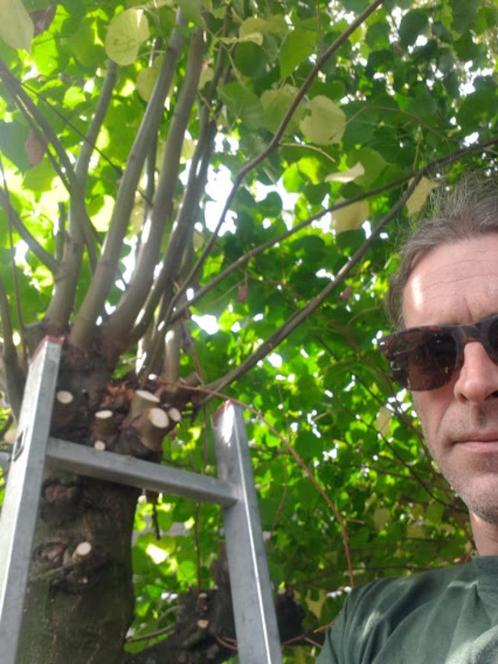 hovenier stratenmaker, Diensten en Vakmensen, Tuinmannen en Stratenmakers, Bestrating, Tuin- of Vijveraanleg, Tuinonderhoud of Snoeiwerk