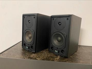 BNS EX-12 Speakers - Topkwaliteit Geluid uit Nederland! beschikbaar voor biedingen