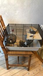Complete hamsterkooi. Met huisje, gang en trapje., Dieren en Toebehoren, Kooi, Minder dan 75 cm, Zo goed als nieuw, Hamster