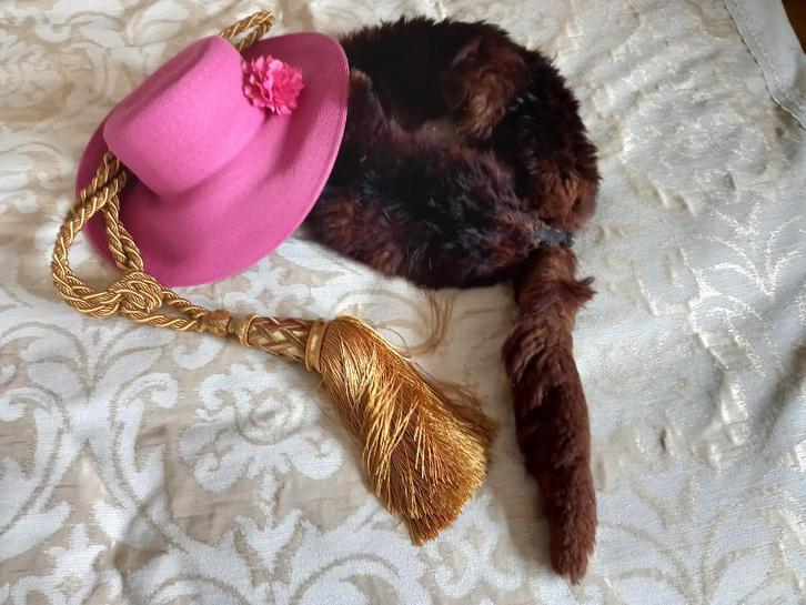 Oud vossenbontje voor paspop of decoreren, Antiek en Kunst, Curiosa en Brocante, Ophalen of Verzenden