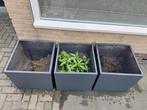 plantenbak aluminium, Tuin en Terras, Bloembakken en Plantenbakken, Ophalen, Minder dan 60 cm, Vierkant, Zo goed als nieuw