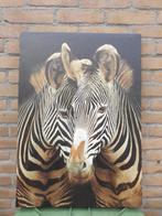 Zebra canvas 50x79cm, Ophalen of Verzenden