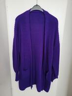 Gebreid vest paars, Ophalen of Verzenden, Zo goed als nieuw, Paars