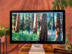 Apple Cinema Display LED 24 inch, Computers en Software, Monitoren, Ophalen, Gebruikt, Full HD, 60 Hz of minder