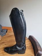 Petrie melbourne maat 40, Dieren en Toebehoren, Paardrijkleding, Ophalen of Verzenden