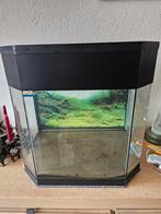 Design aQuaja aquarium met schuine kanten 40 liter ongeveer, Ophalen