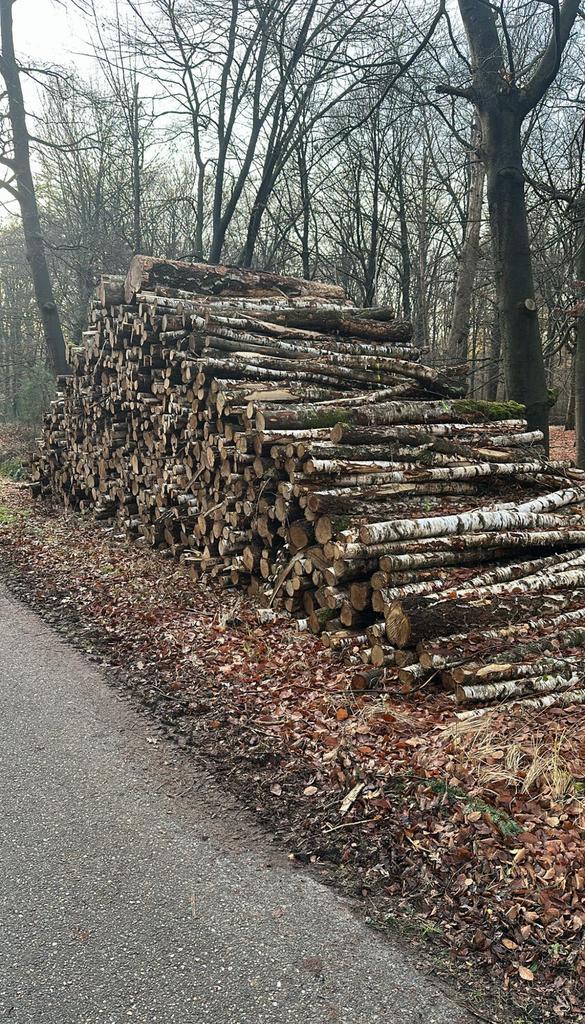 Berken stammen brandhout, Tuin en Terras, Haardhout, Ophalen of Verzenden