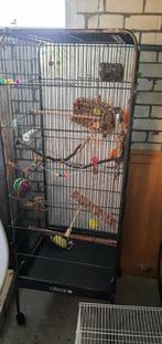 Vogelkooi, Dieren en Toebehoren, Ophalen, Gebruikt, Metaal, Vogelkooi