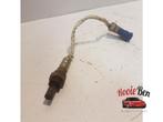 Lambda Sonde van een Ford Usa Mustang, Gebruikt, -, -, Ophalen of Verzenden