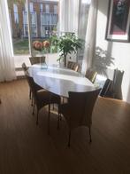 Ovale eettafel, Huis en Inrichting, Tafels | Eettafels, Ophalen, Kunststof, Gebruikt, 100 tot 150 cm