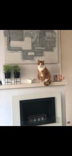 Ophang haard, Huis en Inrichting, Haarden, Ophalen, Gebruikt, Vrijstaande haard, Elektrische haard