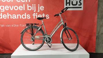 Gazelle Fuente beschikbaar voor biedingen
