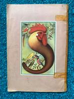 Parkieten - Huisvesting, Voeding, Verzorging, Kweken, Dieren en Toebehoren, Vogels | Parkieten en Papegaaien, Meerdere dieren