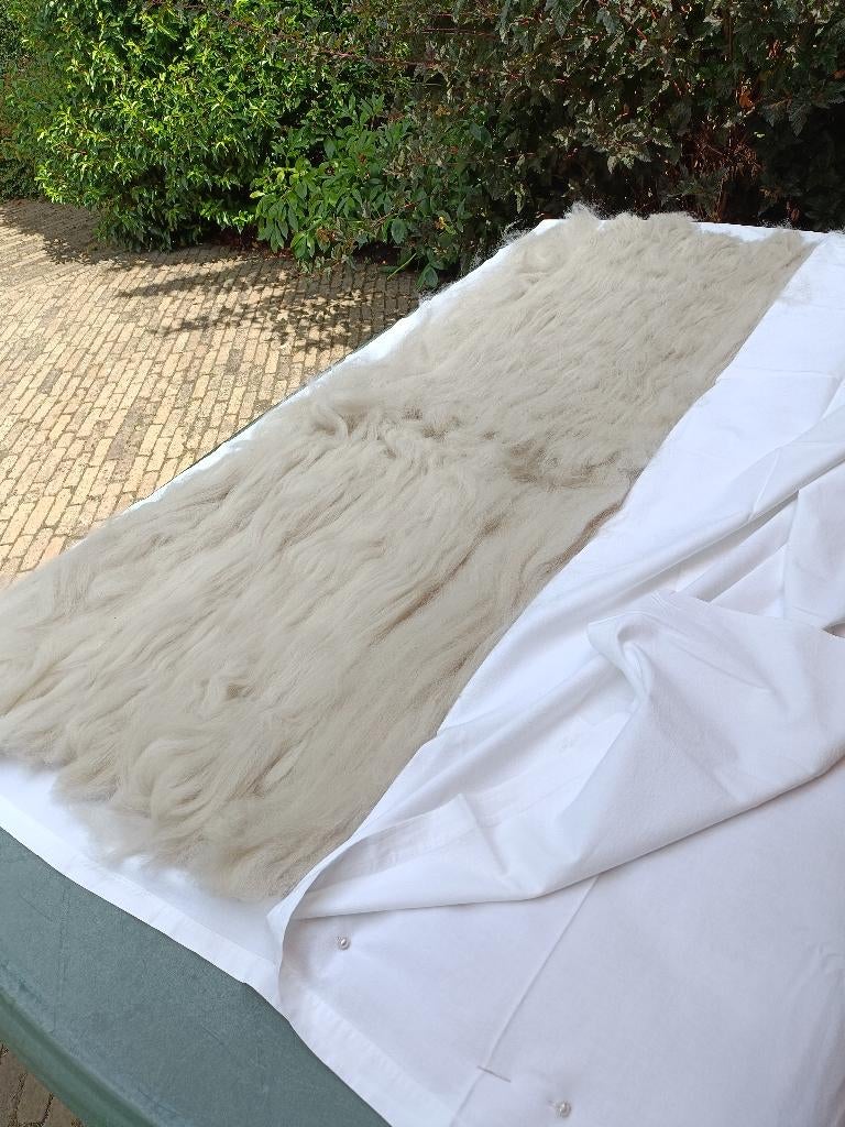 100% ALPACAWOL DEKBED 1.50 x 2.00 hypoallergeen + Cinderella, Nieuw, Ophalen of Verzenden, Deken of Dekbed, Overige kleuren