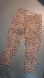 Zipp2Go Afritsbroek - Tijgerprint - Maat 38, Kleding | Dames, Broeken en Pantalons, Zipp2Go, Ophalen of Verzenden, Zo goed als nieuw