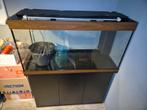 Juwel rio 350 met kast, Ophalen, Zo goed als nieuw, Leeg aquarium