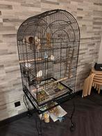 Vogelkooi met parkieten, Dieren en Toebehoren, Vogels | Hokken en Kooien, Ophalen of Verzenden, Zo goed als nieuw, Vogelkooi, Metaal