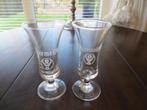 2 Jagermeister glaasjes met Logo H 11 cm, Verzamelen, Glas en Borrelglaasjes, Ophalen of Verzenden, Zo goed als nieuw, Borrel- of Shotglas