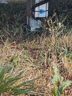 Goed onderhouden camper met mooie opties, Airbags, Ford, Vloeistofverwarming, Treinzit