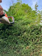 Tuinman nodig…..? Onkruid weghalen / terras tegels reinigen, Ophalen of Verzenden