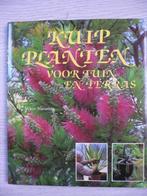 Kuipplanten voor tuin en terras, Ophalen of Verzenden, Zo goed als nieuw, Tuinieren en Tuinplanten