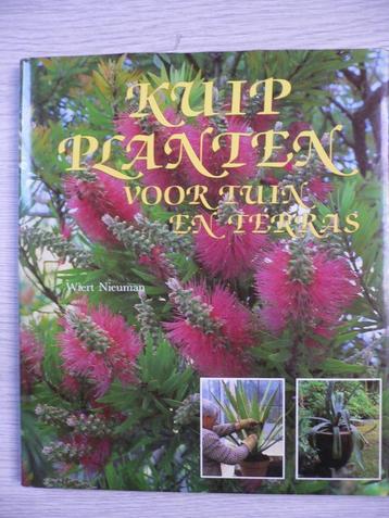 Kuipplanten voor tuin en terras beschikbaar voor biedingen