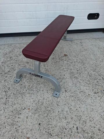 Cybex flatbench fitnessbank beschikbaar voor biedingen