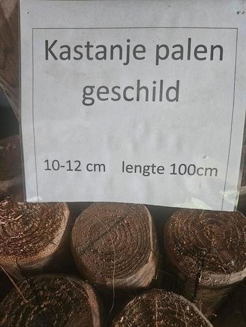 Nieuwe kastanjehout palen 10-12 cm diameter  beschikbaar voor biedingen