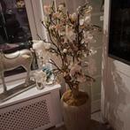 Heel mooie bloesemboom, Huis en Inrichting, Ophalen, Zo goed als nieuw
